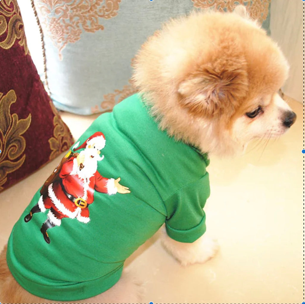 Celebrate Christmas with Your Pets: Festive Fashion and Cheerful Décor