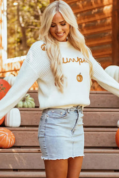 Pumpkin Embroidery Long Sleeve Sweater - Florida Guy