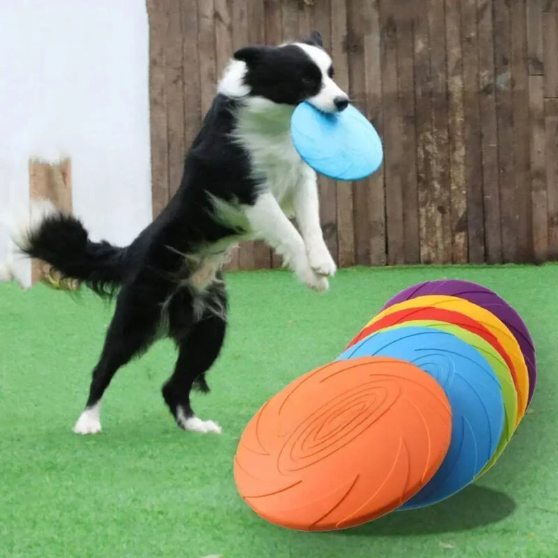 Multicolor Dog Frisbee DSers