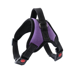 Pet Walking Harness Adjustable Comfort Florida Guy