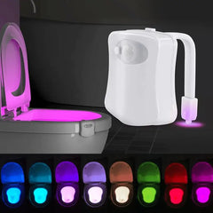 Toilet Night Light Zendrop