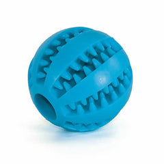 Interactive Pets Rubber Balls Florida Guy