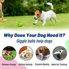 Interactive Dog Wobble Ball DSers