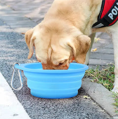 Large Collapsible Dog Bowl Florida Guy