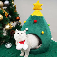 Christmas Cat House Florida Guy