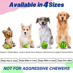 Interactive Dog Wobble Ball DSers