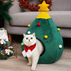 Christmas Cat House Florida Guy