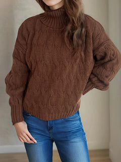 Cable-Knit Turtleneck Long Sleeve Sweater - Florida Guy