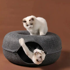 Cat Donut Bed Florida Guy