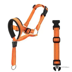 Dog Halter Training Head Collar Florida Guy