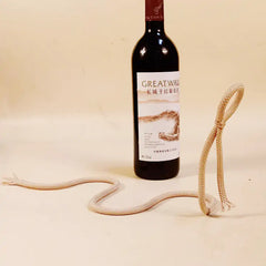 Suspended Rope Wine Bottle Zendrop