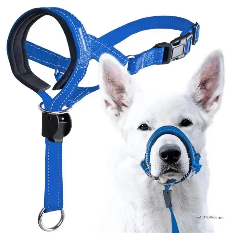 Dog Halter Training Head Collar Florida Guy