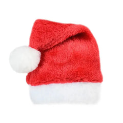 Christmas Pet Santa Hat Florida Guy