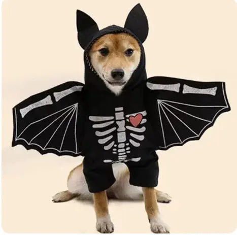 Halloween Bat Costume for Dogs Florida Guy