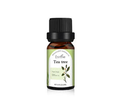 Natural Plant Essential Oil Florida Guy