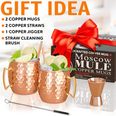 Moscow Mule Copper Mugs - Set of 2 - 100% HANDCRAFTED - Food Safe Pure Solid Copper Mugs - 16 oz Gift Set with BONUS - Highest Quality Cocktail Copper Florida Guy