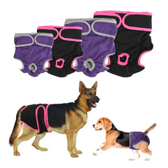 Female Dog Shorts DSers