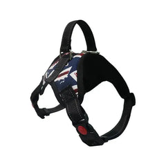 Pet Walking Harness Adjustable Comfort Florida Guy