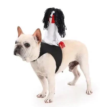 Halloween Costume for Pets Florida Guy