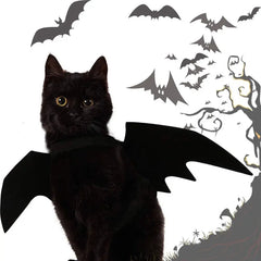 Halloween Cute Pet Clothes Black Bat Florida Guy