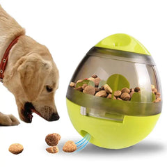 Interactive Pet Food Dispenser Toy Florida Guy