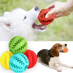 Interactive Pets Rubber Balls Florida Guy