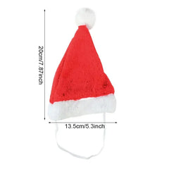 Christmas Pet Santa Hat Florida Guy