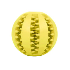 Interactive Pets Rubber Balls Florida Guy