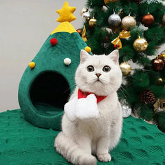 Christmas Cat House Florida Guy