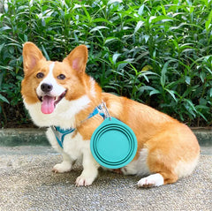 Large Collapsible Dog Bowl Florida Guy