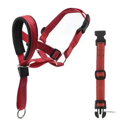 Dog Halter Training Head Collar Florida Guy