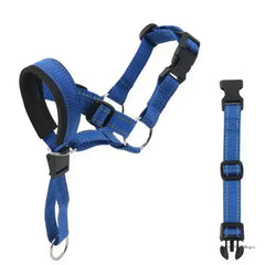 Dog Halter Training Head Collar Florida Guy