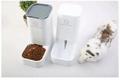 Automatic Pet Feeder Florida Guy