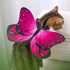 Halloween Cat Butterfly Wings DSers