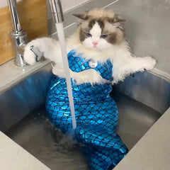 Cute Mermaid Pet Costume - Florida Guy