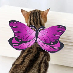 Halloween Cat Butterfly Wings DSers