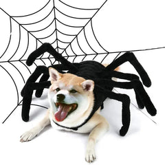 Halloween Dog Spider Costume DSers