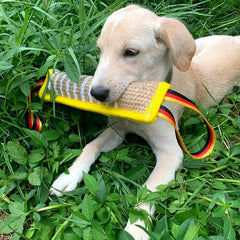 Durable Dog Training Tug of War DSers