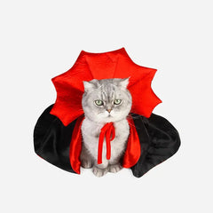 Cute Vampire Cat Costume DSers