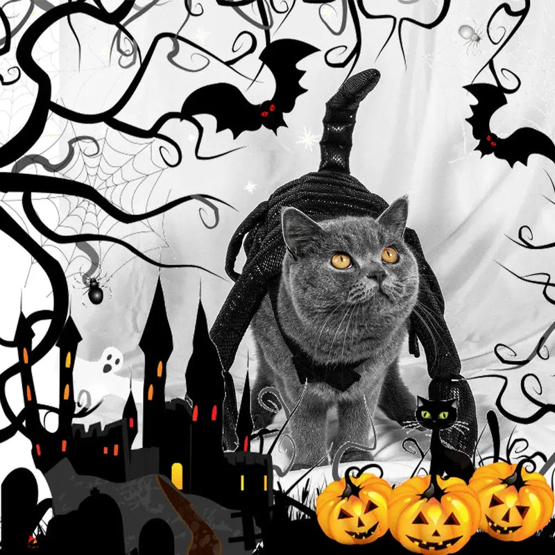 Halloween Cat Scorpion Costume DSers