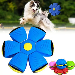 Dog Flying Saucer Toy DSers