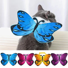 Halloween Cat Butterfly Wings DSers