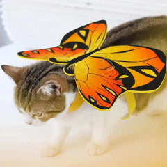 Halloween Cat Butterfly Wings DSers