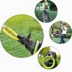 Interactive Dog Training Ring DSers