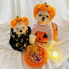 Cute Pet Pumpkin Costume DSers