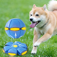 Dog Flying Saucer Toy DSers