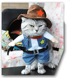 Halloween Cat Sheriff Costume DSers