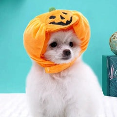 Cute Pet Pumpkin Costume - Florida Guy