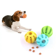 Interactive Dog Ball Feeder DSers