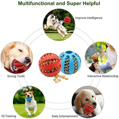 Interactive Dog Ball Feeder DSers